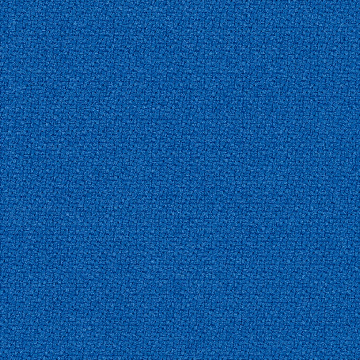 step_66151.jpg