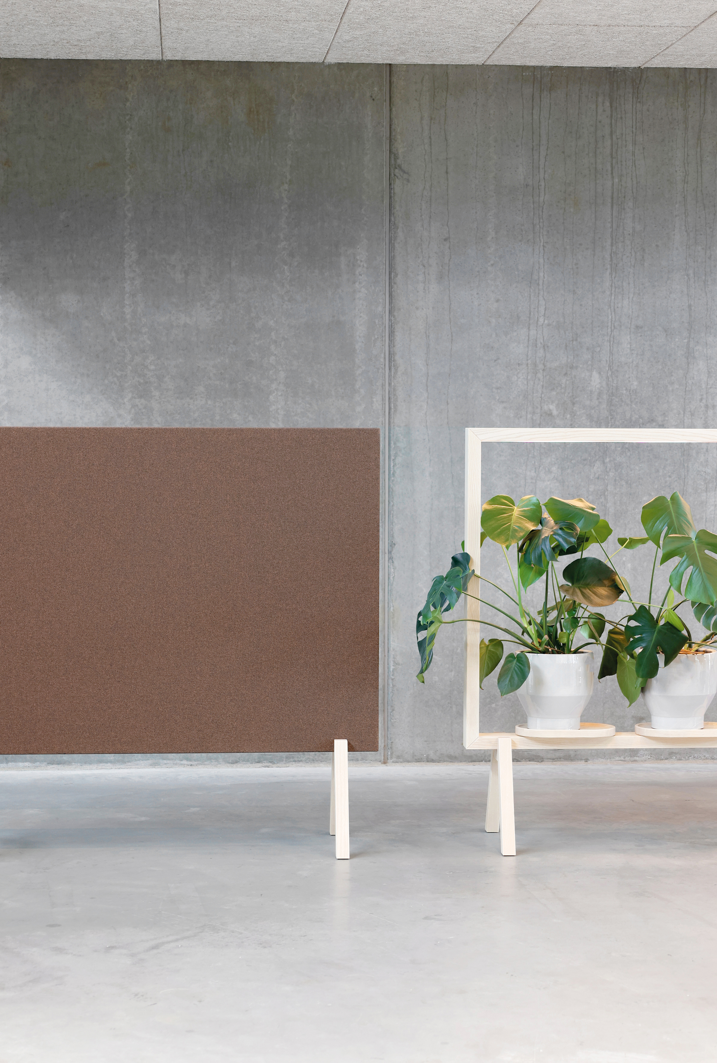 Renewed Loop Screen 3