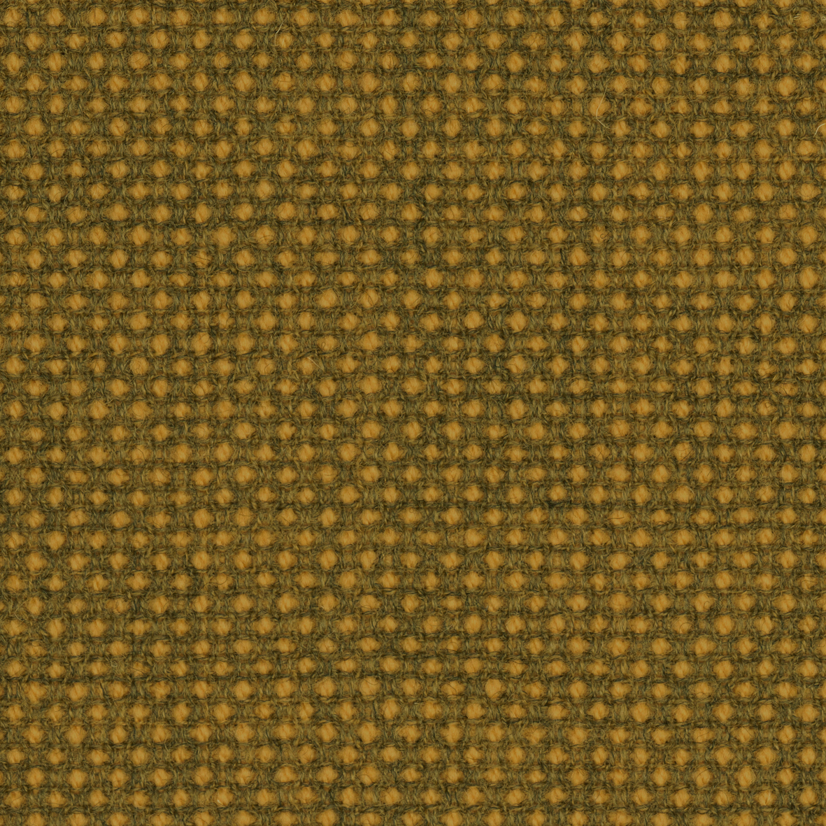 focus_royal_62517.jpg