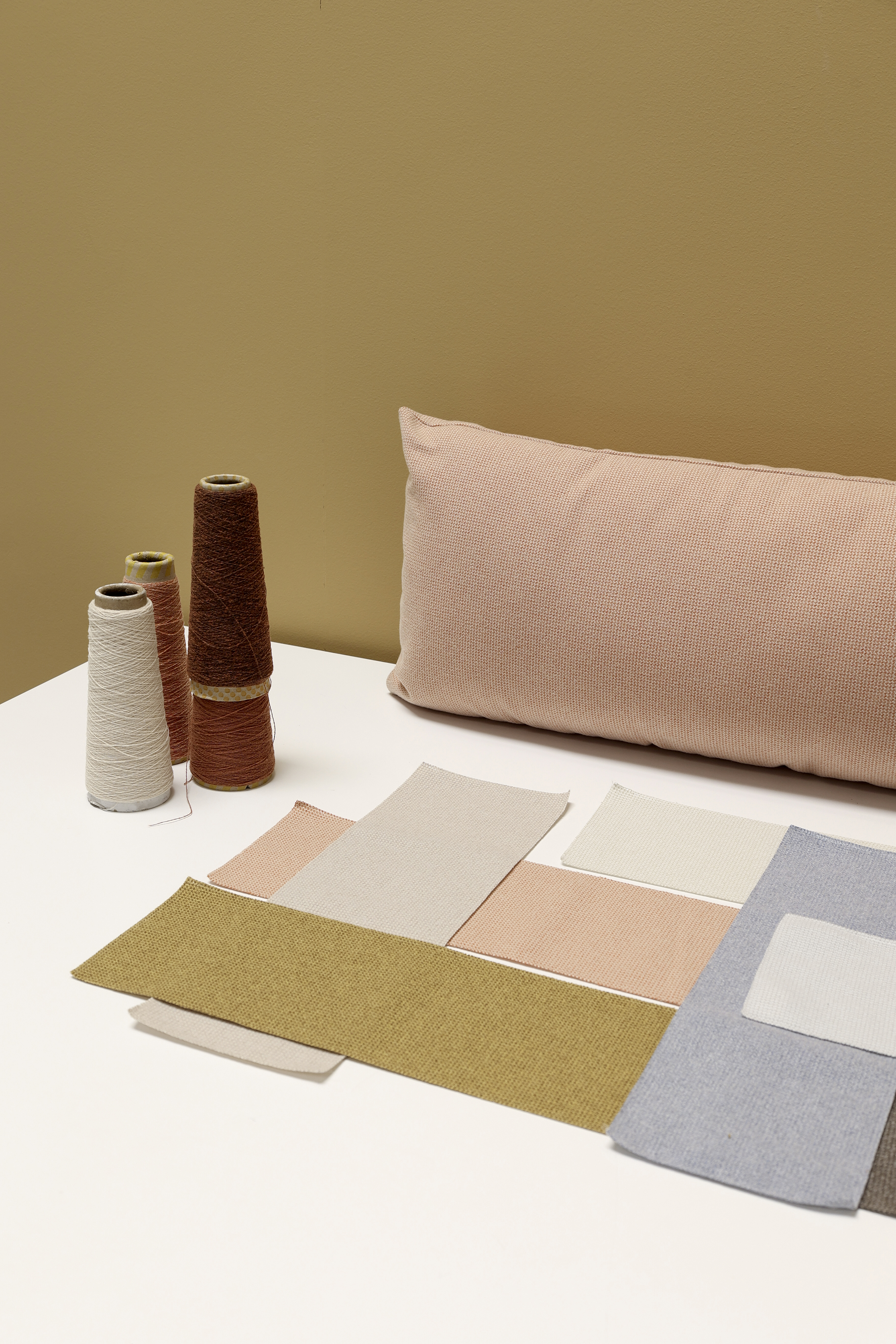 Softnext 1E0A1904 High Res